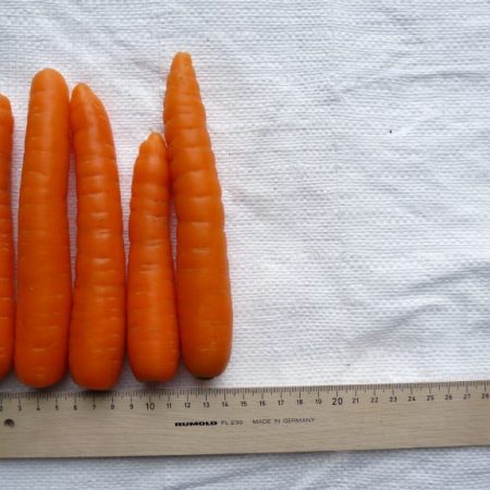 Rustenburg opperdoes B peen